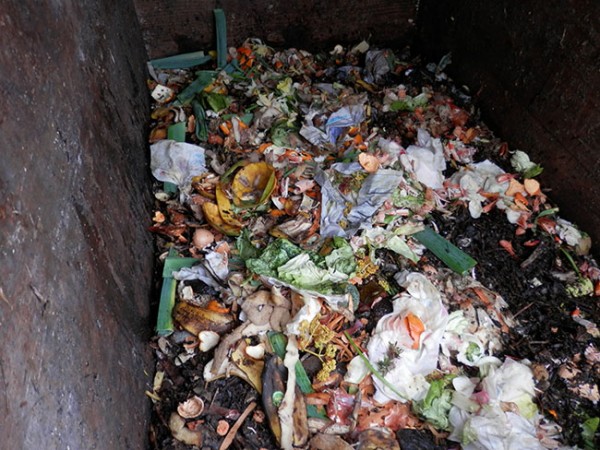 compost