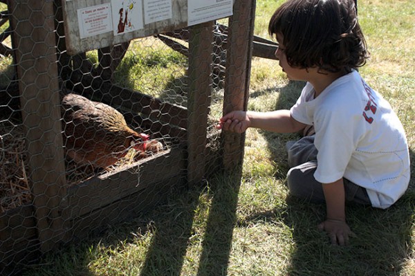 nature en fête 2014