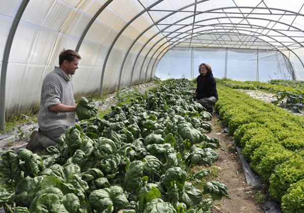 produits-locaux-ferme-de-rublé