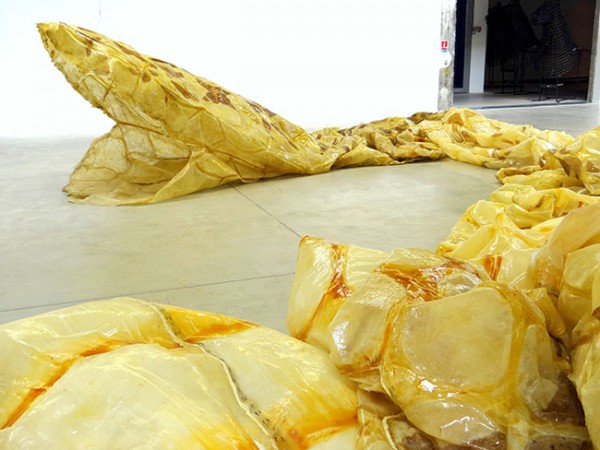 huang-yong-ping-hab-galerie-nantes-2014 (4)