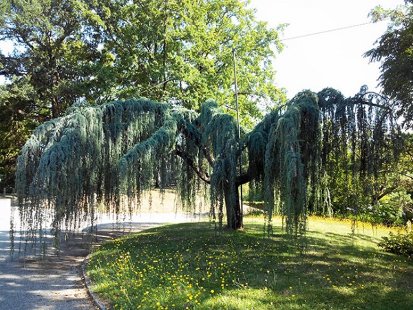 parc-de-la-morinière-rezé (1)