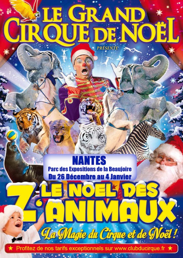 cirque-nantes-noel