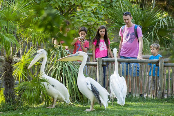 parc-planète-sauvage-nantes