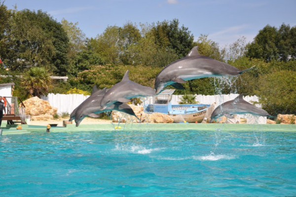 parc-planète-sauvage-nantes