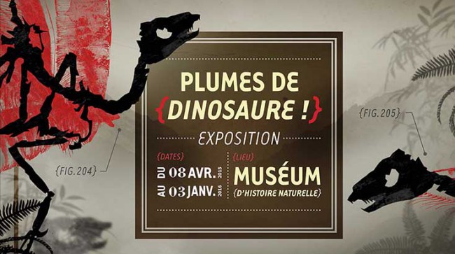 Plumes de dinosaure Muséum d'histoire naturelle